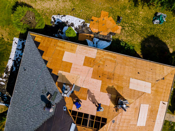 Best Metal Roofing Contractor  in Cortland, OH