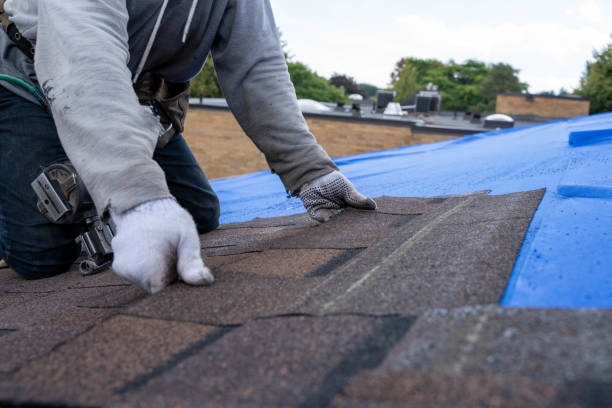 Best Storm Damage Roof Repair  in Cortland, OH